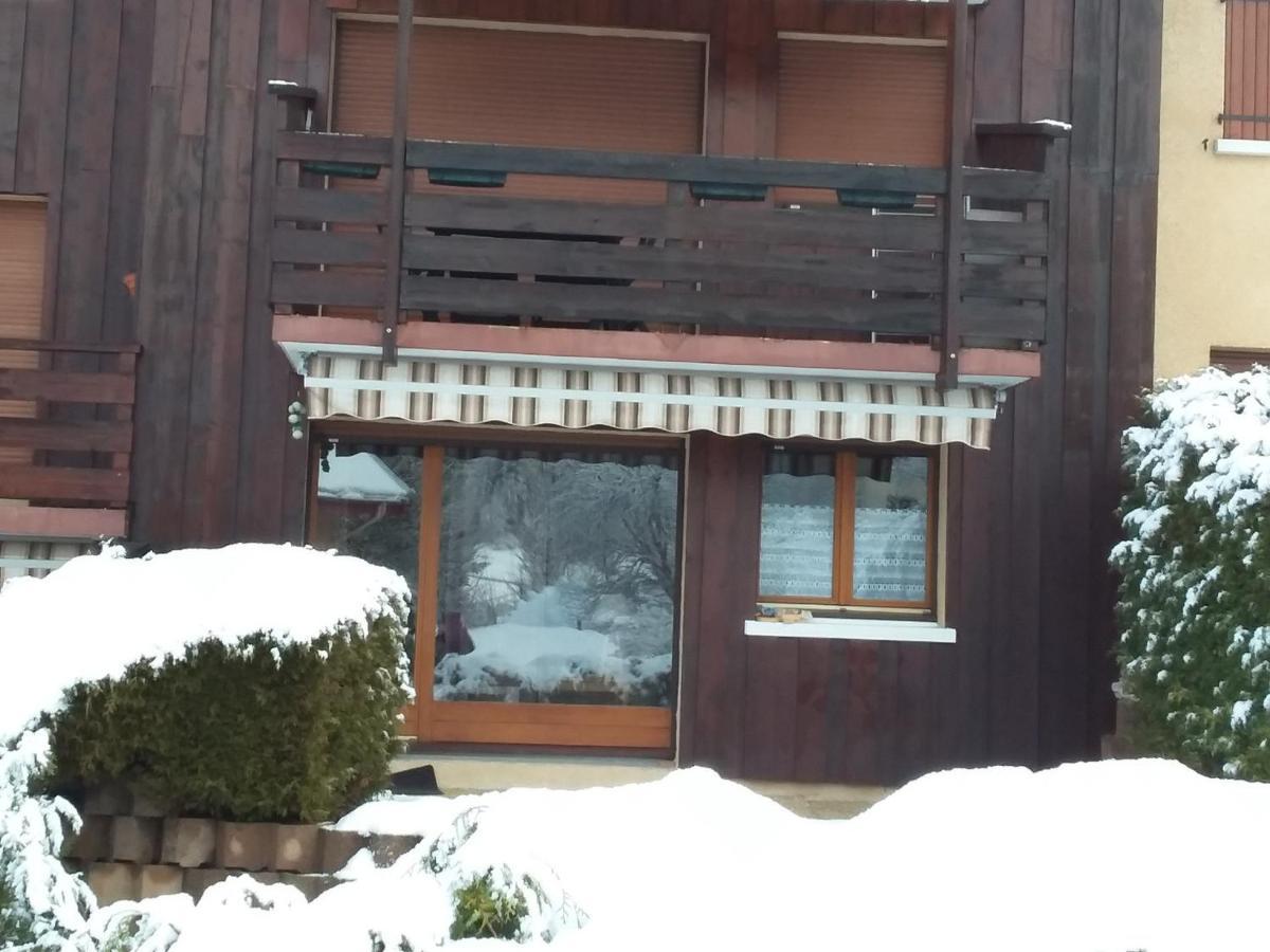 Charmant Duplex De 45M², 2 Chambres, Jardin, Garage, Villard-De-Lans - Fr-1-515-51 Екстер'єр фото